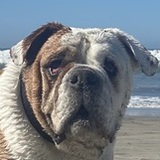 Entry image for Bobo Tingle