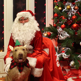 Entry image for Boss