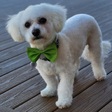 Entry image for Ralfey