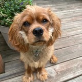 Entry image for Aiden