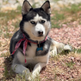 Entry image for Juneau (NMDR Squidward)