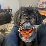 Entry image for Chiquita