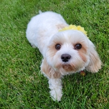 Entry image for Winnie