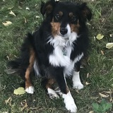 Entry image for Mystic