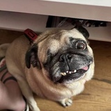 Entry image for Jacinta 