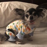 Entry image for Rizzo 