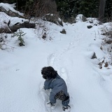 Entry image for MAVERICK