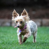 Entry image for Fergie