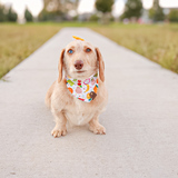 Entry image for Gucci