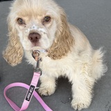 Entry image for Darla 