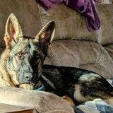 Entry image for Loki