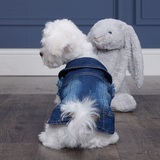 Entry image for Lily Bug