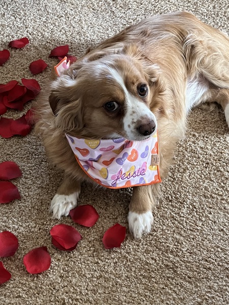 Entry image for Jessie Ruth . Clicking this image will show a larger photo