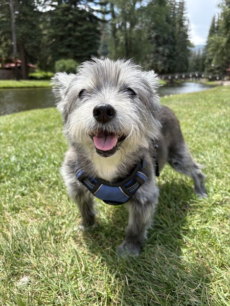 Entry image for Mr. Fish. Clicking this image will show a larger photo