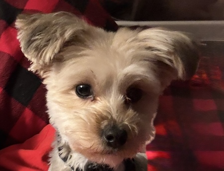 Entry image for Drew. Clicking this image will show a larger photo