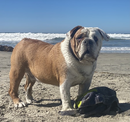 Entry image for Bobo Tingle. Clicking this image will show a larger photo