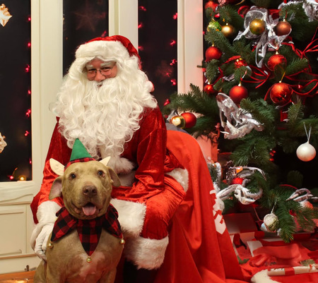 Entry image for Boss. Clicking this image will show a larger photo