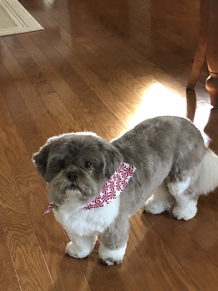 Entry image for Bentley . Clicking this image will show a larger photo