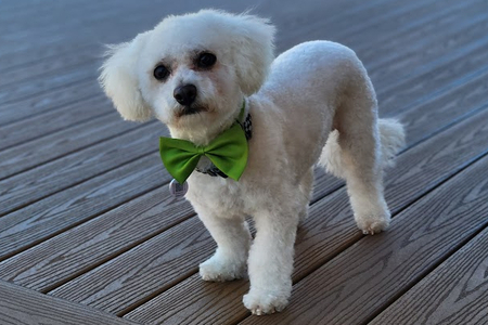 Entry image for Ralfey. Clicking this image will show a larger photo