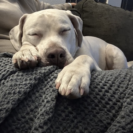 Entry image for Eddie. Clicking this image will show a larger photo