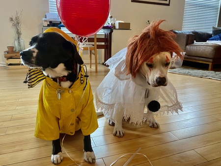 Entry image for Panda Bear & Emma. Clicking this image will show a larger photo