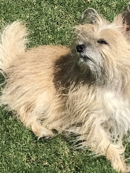 Entry image for Rosalee. Clicking this image will show a larger photo