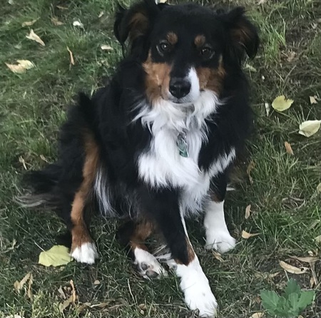 Entry image for Mystic. Clicking this image will show a larger photo