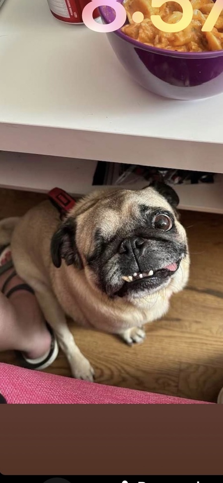 Entry image for Jacinta . Clicking this image will show a larger photo