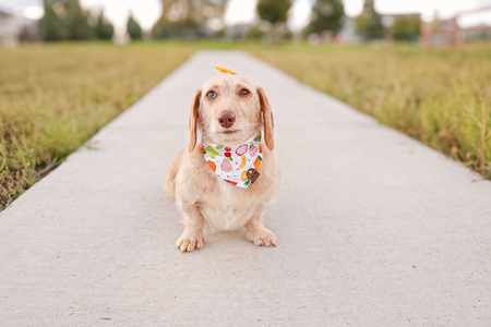 Entry image for Gucci. Clicking this image will show a larger photo