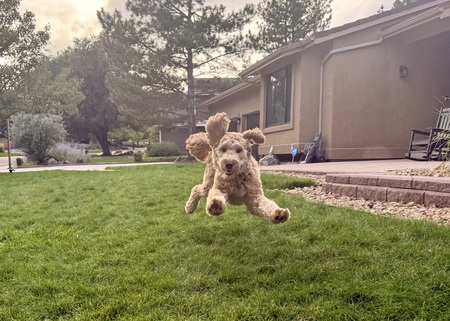 Entry image for Copper. Clicking this image will show a larger photo