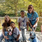 Entry image for Comet and Sour Cream