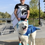 Entry image for Artemis