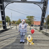 Entry image for Rizzo (Georgie) 🤎