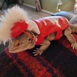 Entry image for Scooby Doo