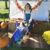 Entry image for Hayes