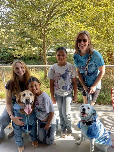 Entry image for Comet and Sour Cream. Clicking this image will show a larger photo