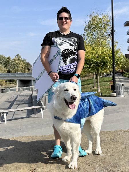 Entry image for Artemis. Clicking this image will show a larger photo