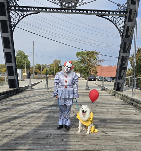 Entry image for Rizzo (Georgie) 🤎. Clicking this image will show a larger photo