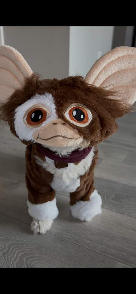 Entry image for Moochie McCullough . Clicking this image will show a larger photo