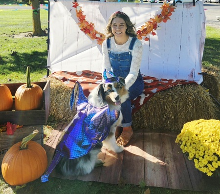 Entry image for Hayes. Clicking this image will show a larger photo