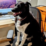Entry image for Stella