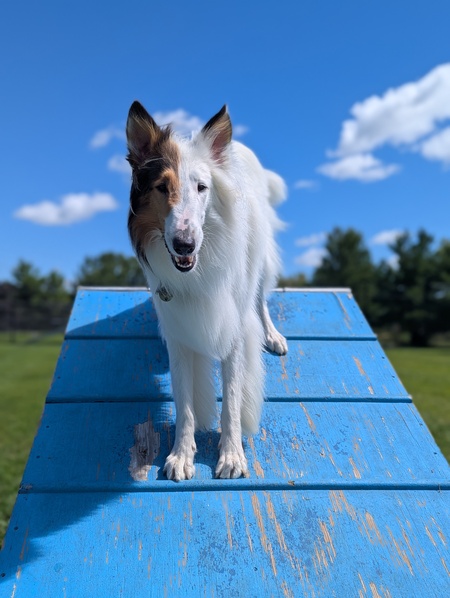 Aero