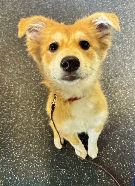 Zoey