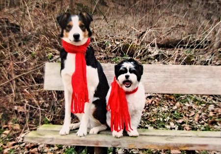 Freddy and Abby