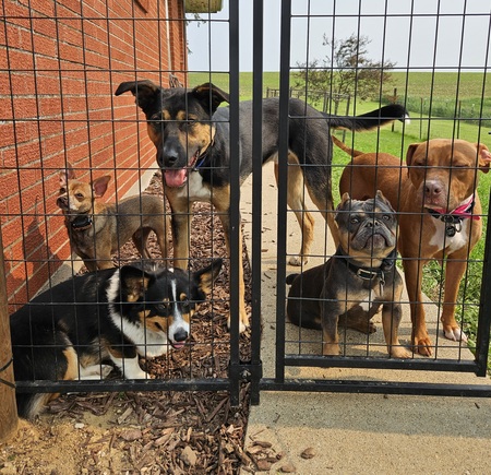 Walter, George, Odin, Frank, Flora