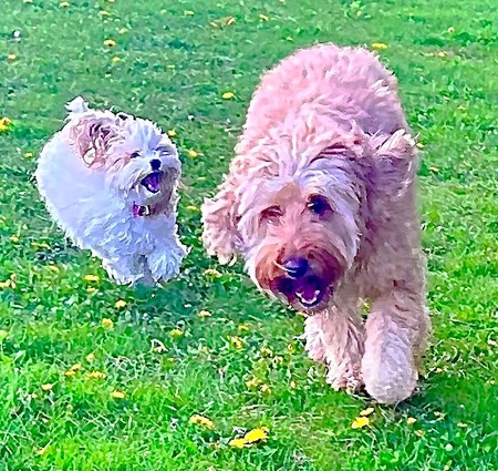 Grace and Lili