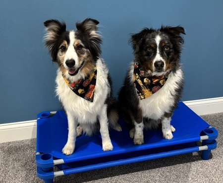 Wyatt and Taz