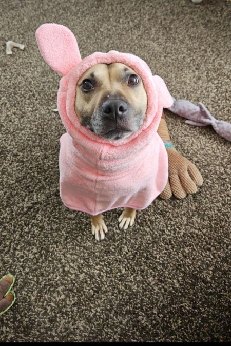Entry image for Milly. Clicking this image will show a larger photo