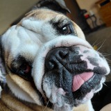 Entry image for Cuddles