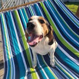 Entry image for Johnny